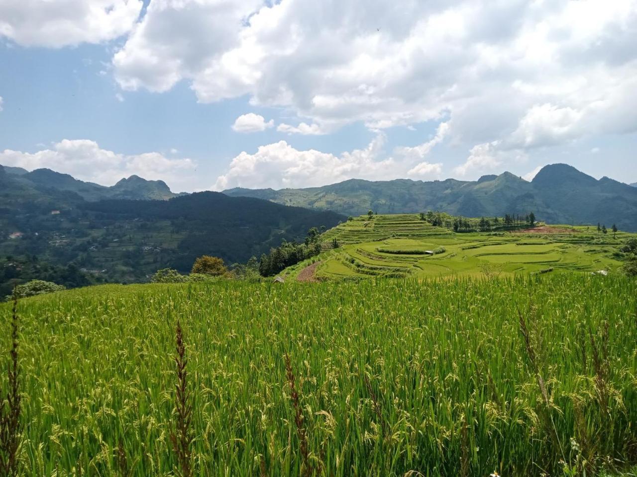 Bac Ha Charm Stay Exterior photo